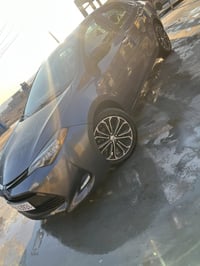 كورلا • ٢٠١٧ • رقم اربيل