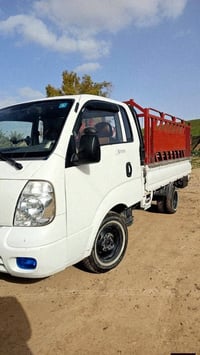 بنگو • ٢٠١٠ • الناصرية