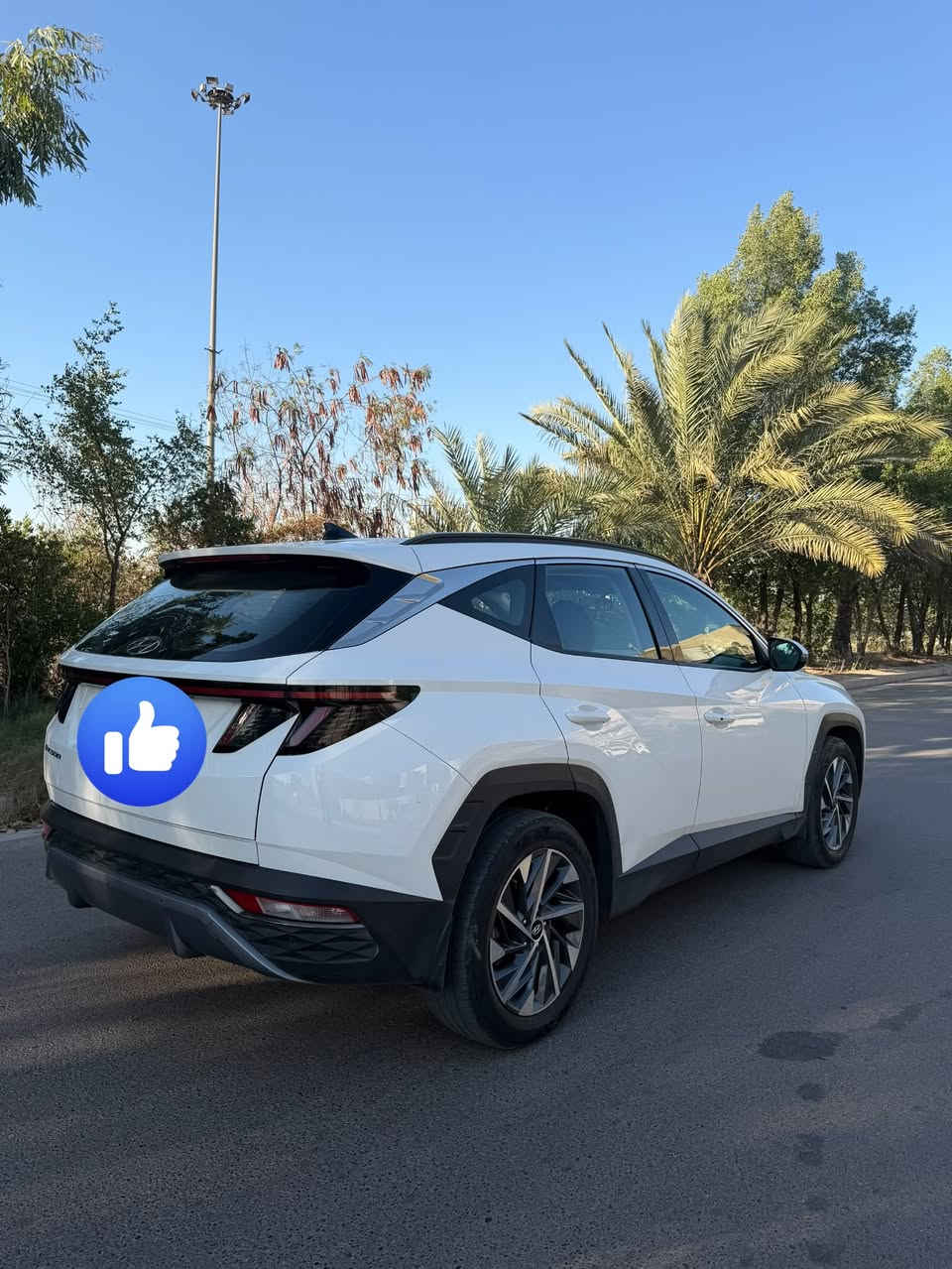 للبيع | توسان 2021 خليجي
🔹 موديل: 2021
🔹 وارد: خليجي
🔹 محرك: 2000 CC
🔹 أوتوماتيك
🔹 اللون: أبيض
🔹 العداد: 35 ألف كم

المواصفات:
✔️ بصمة
✔️ Auto Hold
✔️ هندبريك كهرباء
✔️ نظام النزول من المنحدرات
✔️ بردات خلفية
✔️ كرسي السائق والراكب كهربائي
✔️حساس امامي خلفي دكمة + كاميرا دوارة

السيارة باسمي وتحول مباشر استخدام شخصي، نظيفة جداً، جاهزة للاستخدام وما بيها أي نقص، وكلشي بيها على وضع الشركة.
السبير والجك ما نازلات.

💰 السعر: 195 ورقة

📍 بغداد 

📞 ***********
