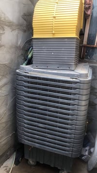 مبرده • شغال