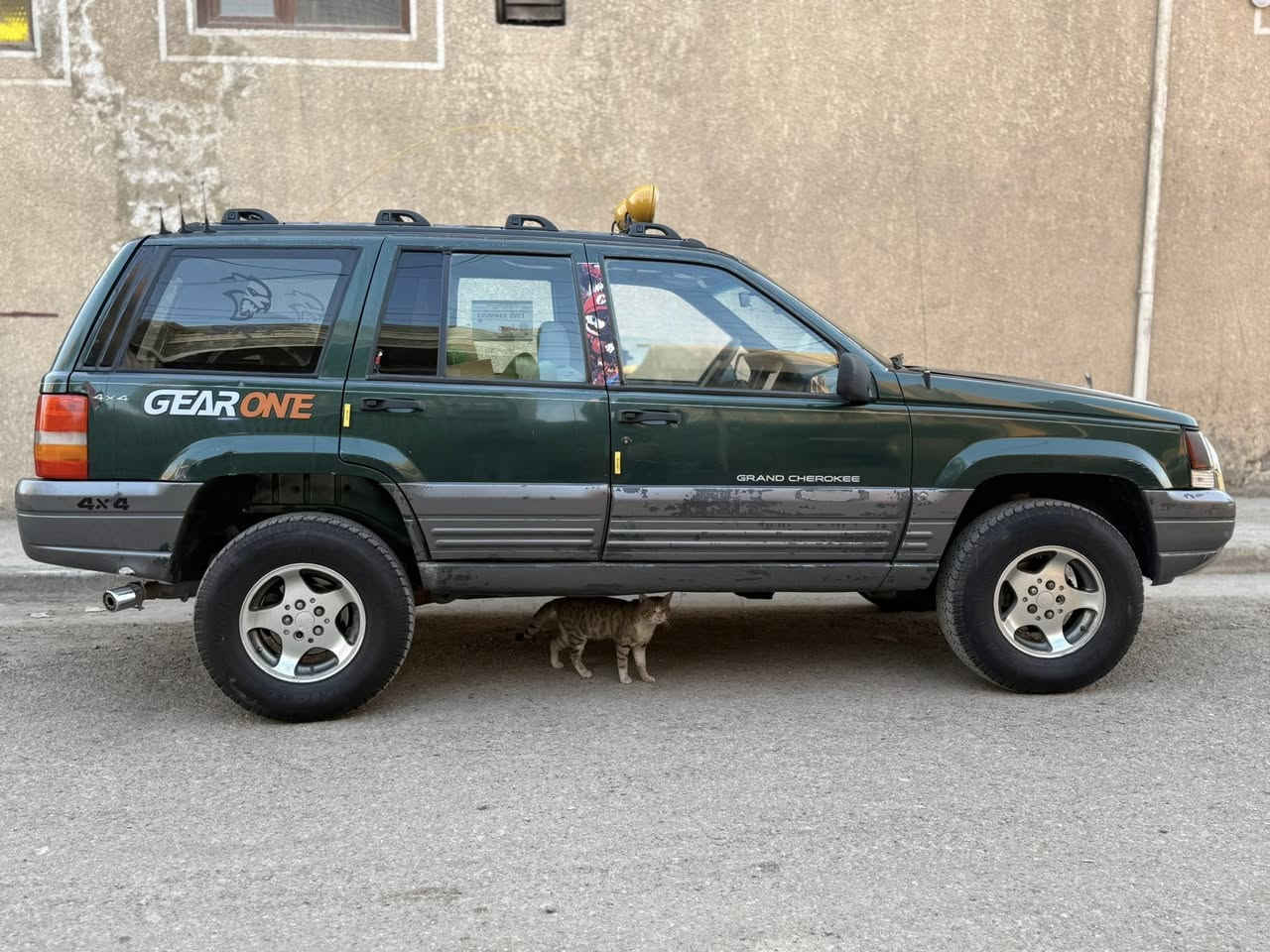 السلام عليكم
جيب شيروكي موديل 97 🚙

محرك وكير بلاديات مابيهن اي نقص 

السيارة مابيها اي نقص 

بيع فقط

تحويل مباشر  

السعر 63

 مكاني بغداد

متوفر واتس آب     ***********
