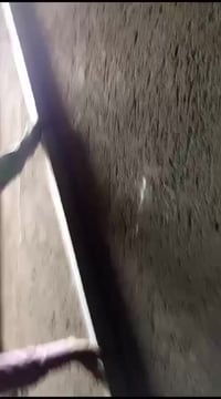 لباخ متفرغ داخل بغداد سقل ناعم تصفير تشميع لبخ ونثر واجهات 07768610452