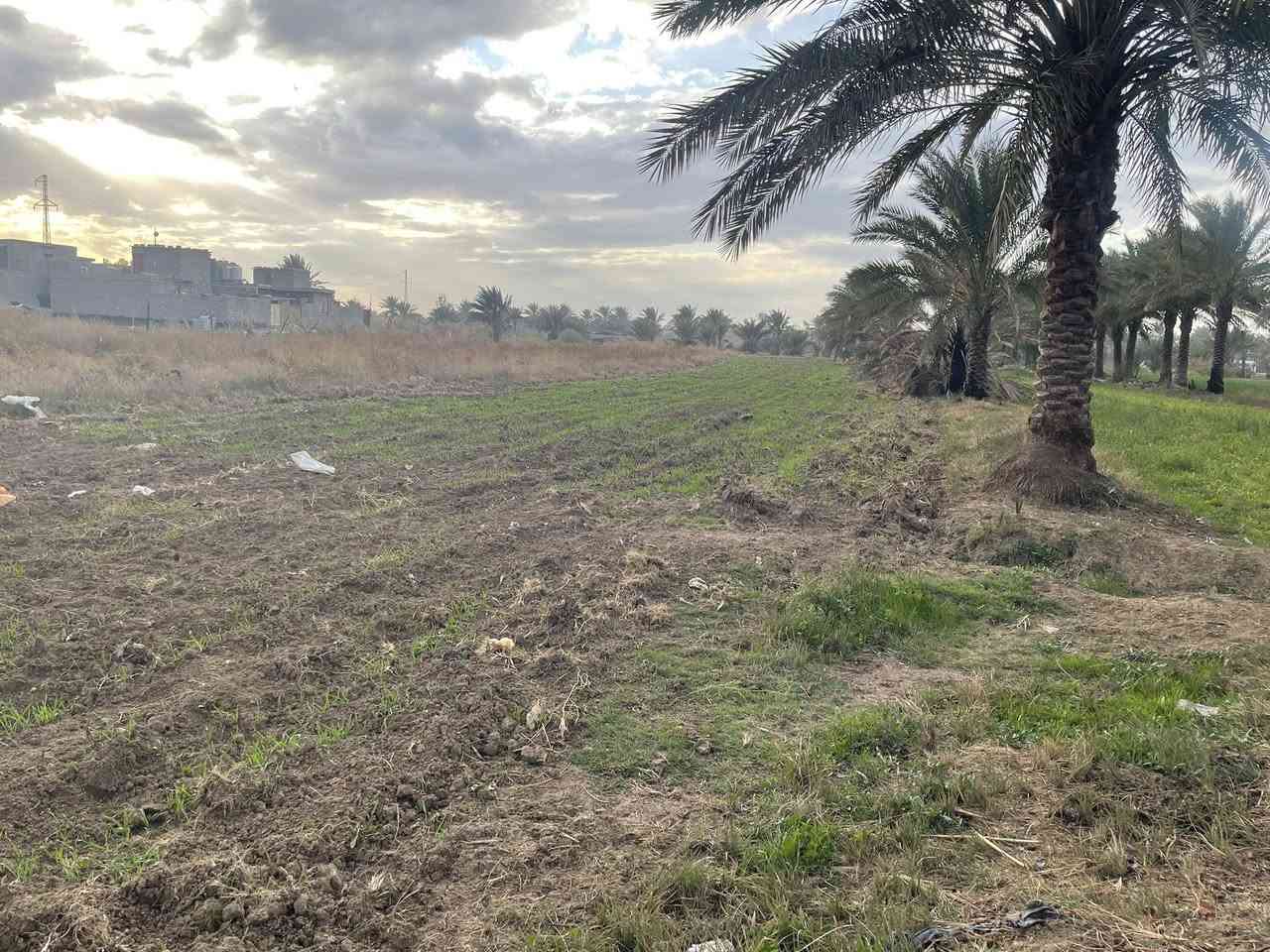 دونم للبيع عقد 35في كربلاء شارع الرابط الواجهه 17عالشارع مباشرة للمعلومات الاتصال/*********** /***********
