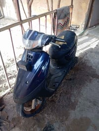 دراجه منغولي • سلف • كرمه بني سعيد