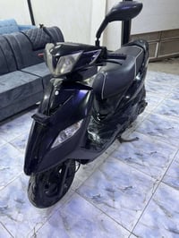 ماكس ثعلب • أسود • تاجي بغداد