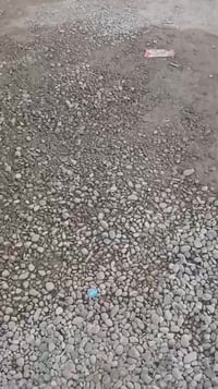 النواب ضباط • ٢٥٠م • بناء جديد