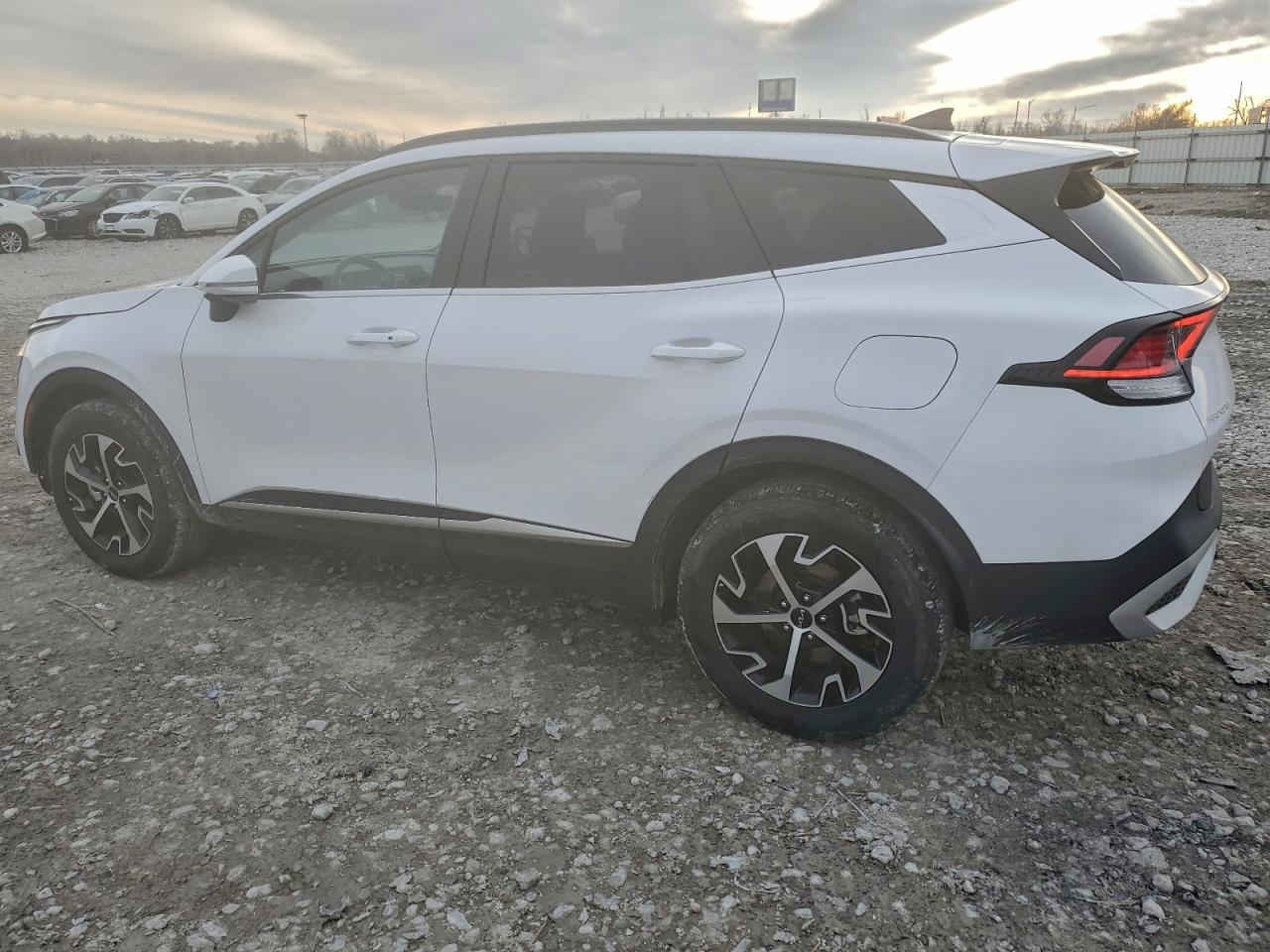 السلام عليكم  متابعين  صفحتنا  الاعزاء   ..

🚗 ((  كيا سبورتج )) 
📌 الموديل : 2025
📌 المسافة : 5.500
📌 الضرر :  دعامية امامية و جاملغ ايمن 
📌 اللون : ابيض
📌 مفاتيح السيارة : متوفرة 
📌 المحرك : 4 سليندر 2.500
📌 الوقود : بنزين
📌 موعد المزاد : الاثنين (19-1-2026) 
                       الساعة 9:00 مساءا
📌 سعر الشراء المباشر : مزاد فقط
ــــــــــــــــــــــــــــــــــــــــــــــــــــــــــــــــــــــــــــــــــــــــــــــــ
⭕ مكتب شركة نجوم اربيل ⭕
العنوان : الشوملي - مقابل بنزين خانة - عمارة احمد جاسم صاحب - الطابق الثاني 
✆ ‏‪‏‪***********‬‏
اهلا وسهلا بكم 🚗
