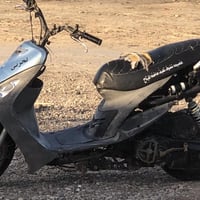 ماكس بوشه 55 • كلجات رياضي • سوق الشيوخ