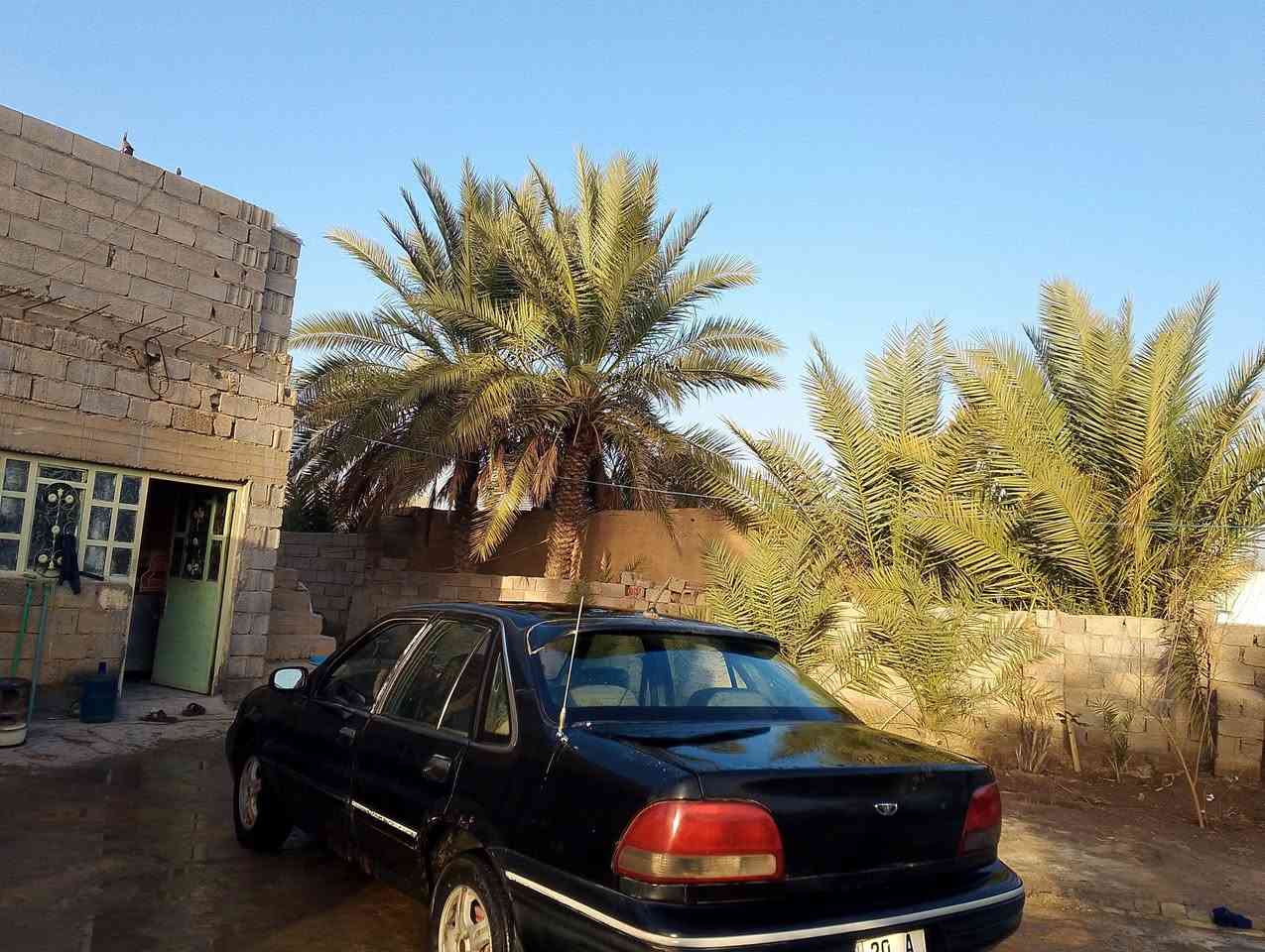 سياره برنس للبيع فراشة كير عادي كير ومحرك مكفول تحويل ثاني يوم رقم الاتصال ***********
