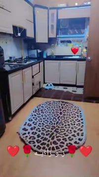 كاونتر • نضيف • أبواب ألمنيوم