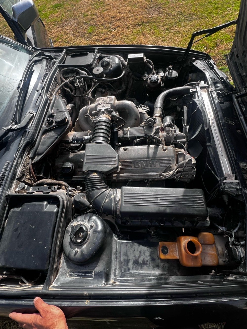 BMW
السلام عليكم للبيع بي ام حجم 535 مديل 90  رقم بغداد نكليزي سياره نظيفه سلايت كهربائي صبغ جماليه  صدر نضيف   داخل وخارج تبريد خير من الله  گير ومكينه  اكسن خير من الله 3.5 مفتوح  شلعه ومعدل سياره ما ناقصها شي   السعر 60 وبيها مجال المكان بغداد _ابوغريب (ابراهيم ابن علي )(***********)