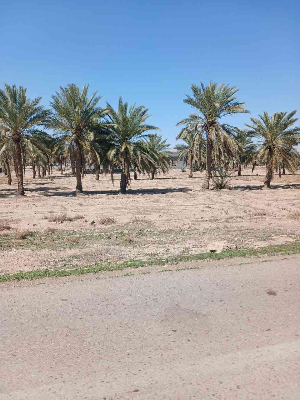 دونم للبيع في النساف شارع البوصالح الرابط بين البعلوان والجفه، مي وكهرباء وسكن،
سعر الدونم 28 مليون 
للإستفسار اكثر الاتصال ***********
