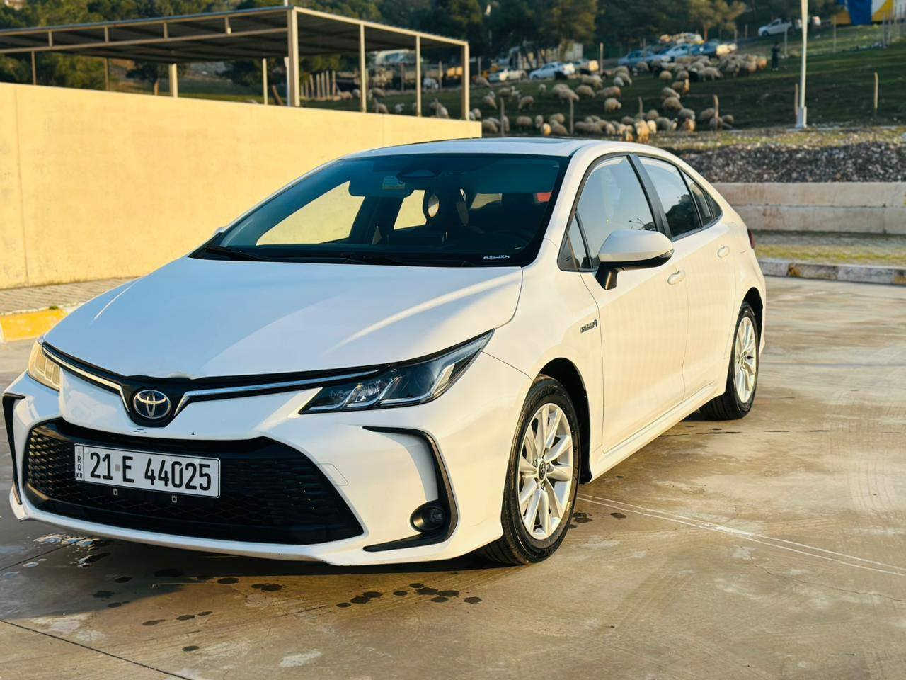 تۆیۆتا کرۆلا 2024 مواسەفات 
هايبريد  
٤٢ هةزار روشتوه 
شكل خليجى 
توزىك نوكى بونيتى هةية
 و جا نةكراوة و ديارة لة وينةكة 

سعر لە کۆمێنت داوابکە ڕاستەخۆ بۆت دیت 📩 

گیرومەکینە بەشەرت زۆربەجوانی پاکی ماوە هیچ خەلەلیکی تیدا نییە 

ژمارەی خاوەنی 
***********
وەتساپ
