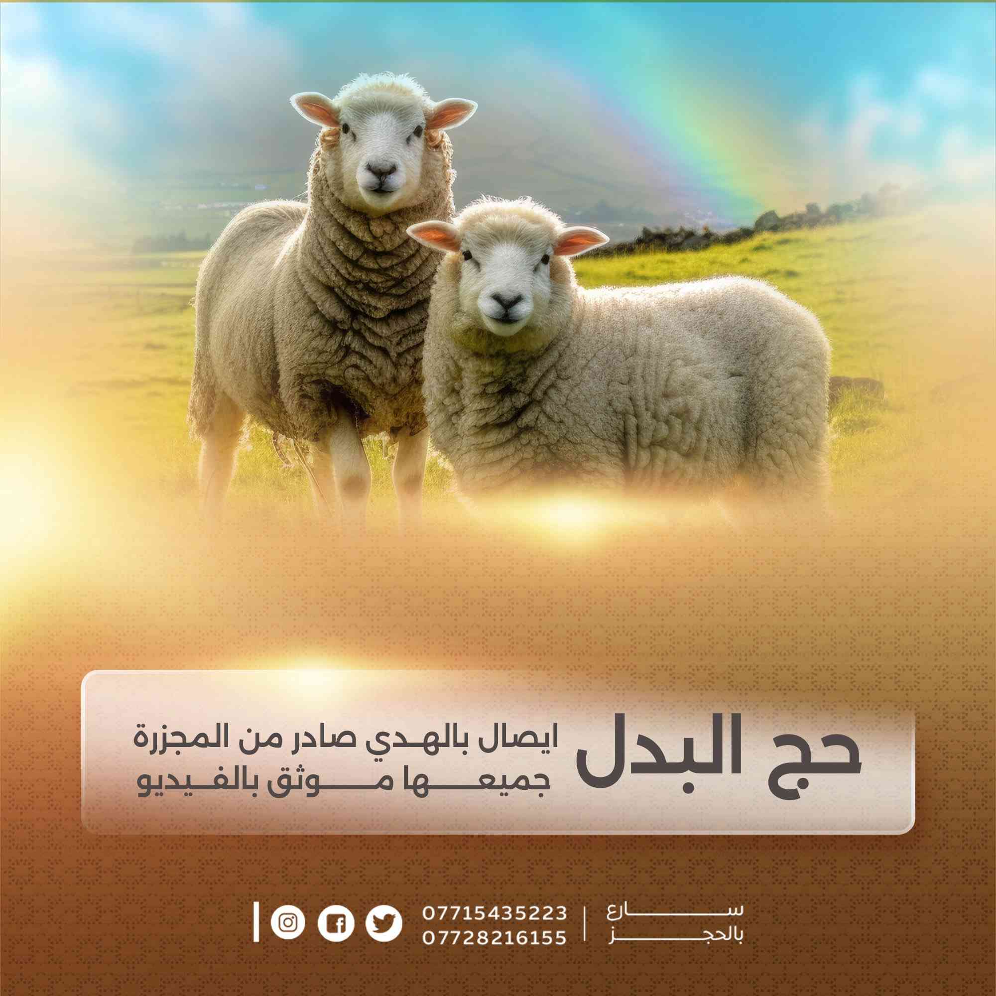 🕊️🕋 شركة سماقرطبة لخدمات الحج والعمرة 🕋🕊️

رحلوا عنا… وبقي في أعناقنا حقّهم

أب… أم… قريب… أو عزيز غاب عن الدنيا
وتتمنى أن تهدي له أعظم الأجر؟

🌟 #حج_البدل ( #الإنابة ) 🌟
عن #العاجز #المريض #المتوفى 

أداء كامل لجميع مناسك الحج
على المذهبين (الحنفي – الجعفري)
بإشراف مباشر وأمانة تامة

نحج عنه وكأنه حيّ بيننا
نيةً صادقة… وأداءً دقيقاً… وتوثيقاً كاملاً

━━━━━━━━━━━━━━

💎 #الباقة_الكاملة_حج_التمتع 
عمره + اداء مناسك الحج كامل مع الهدي (الأضحية)
499,000 دينار عراقي فقط

💎 #باقة_حج_الافراد_اداء_مناسك_الحج_فقط 
350,000 دينار عراقي فقط

━━━━━━━━━━━━━━

🎥 توثيق خاص بالفيديو
وقوف عرفة + ذبح الأضحية  + عقد النيه + الطواف + السعي بين الصفا والمروه 
ليصلك الدليل وتطمئن أنك أبرأت ذمته 🤍

✔ تواصل مباشر مع الحاج البديل
✔ تنفيذ موثوق بإشراف تام
✔ أسعار خاصة للوكلاء والمتعهدين

━━━━━━━━━━━━━━

📲 للحجز والاستفسار (واتساب):
***********
***********

📍 مقر الشركة:
الموصل – حي الخضراء
المدخل الرئيسي – 200م على اليمين

✨ لا تؤجل الخير…
فرب دعوة من والديك في قبرهما تغيّر حياتك ✨

════════════════════
