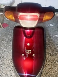 بطة • مامفتوح • وكاله