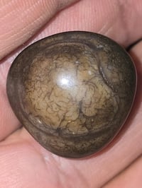 إذ تكلي عندي مثلها وبيها هيج عروك مال دماغ اطيكياها بلاش   هذا الي يري...