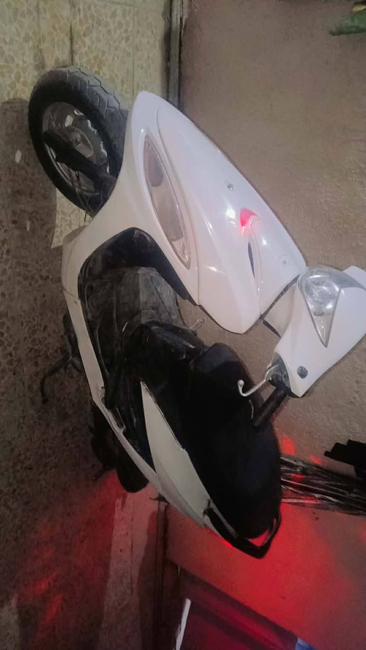 سلام عليكم دراجه كامكو g4 للبيع
كهربات كله شغال نكره سلف سعر ٣٥٠ وشراي بي خير ويدلل


**إذا كنت صاحب هذا الإعلان وتريد حذفه لأي سبب، رجاءا أرسل رسالة إلى الدعم الفني**