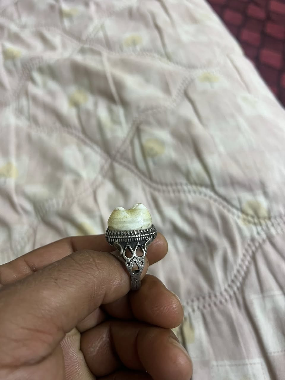 ‏للبيع السعر500.       *********** الاتصال على هذا الرقم
￼
