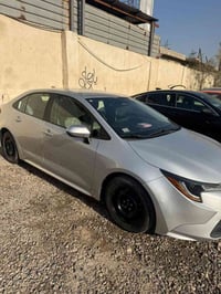 كورلا • ٢٠٢٣ • معوقين