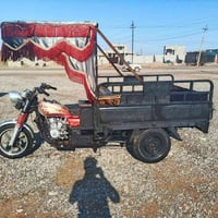 ستوته للبيع موديل 14   شرط الركبه الشاصي   مكفوله من كلشي   شقل وطلع  ...