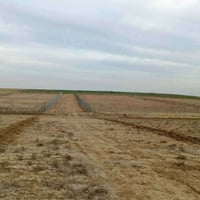 دونم ونص • بيارسي طريق دهوك • سند زراعي