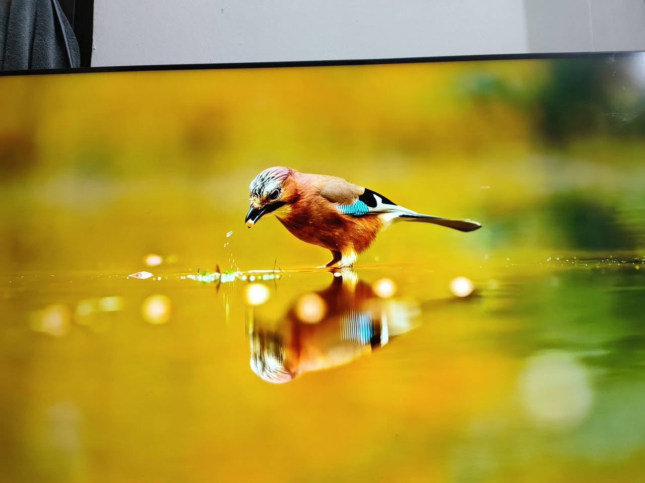 تلفزيون هايسنس Hisense
حجم 43 

نوع A61K

4k 

دولبي اوتمس 

دولبي فجن  60 هيرتز.HDR 

الشاشه استعمال قليل 

السعر 290 الف دينار 

بغداد /الكرادة 

***********
