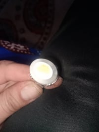 خاتم • معطف • سليمان