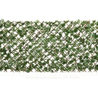 سياج حديقة • ٣م • عرض ١م