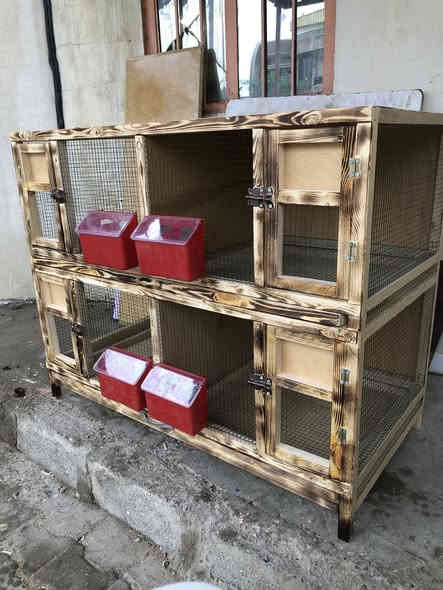 سلام عليكم 
شغل حسب الطلب خانه امل اربعه جرارات
شغل تكمه 
القياس كل مربع 
ارتفاع 50 سم
عرض60سم
النزال40سم
شغل جميع خانات كشوانيات ابراج 
العنوان كركوك قرب جسر ولاده 
انتصال ؏ رم ***********
