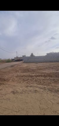 المجمع القريب • ٣٢٠م • سند زراعي