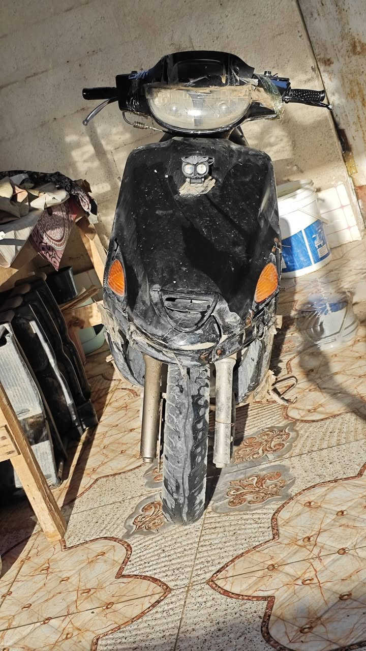 سلام عليكم شباب فراشة لبيع فحل غراضة نضيفة من الداخل عوزة بس كفرات ذبانة حلوة بل مشي 
مكاني البصرة قضاء الدير ناحية النشوة السعر خاص


**إذا كنت صاحب هذا الإعلان وتريد حذفه لأي سبب، رجاءا أرسل رسالة إلى الدعم الفني**
