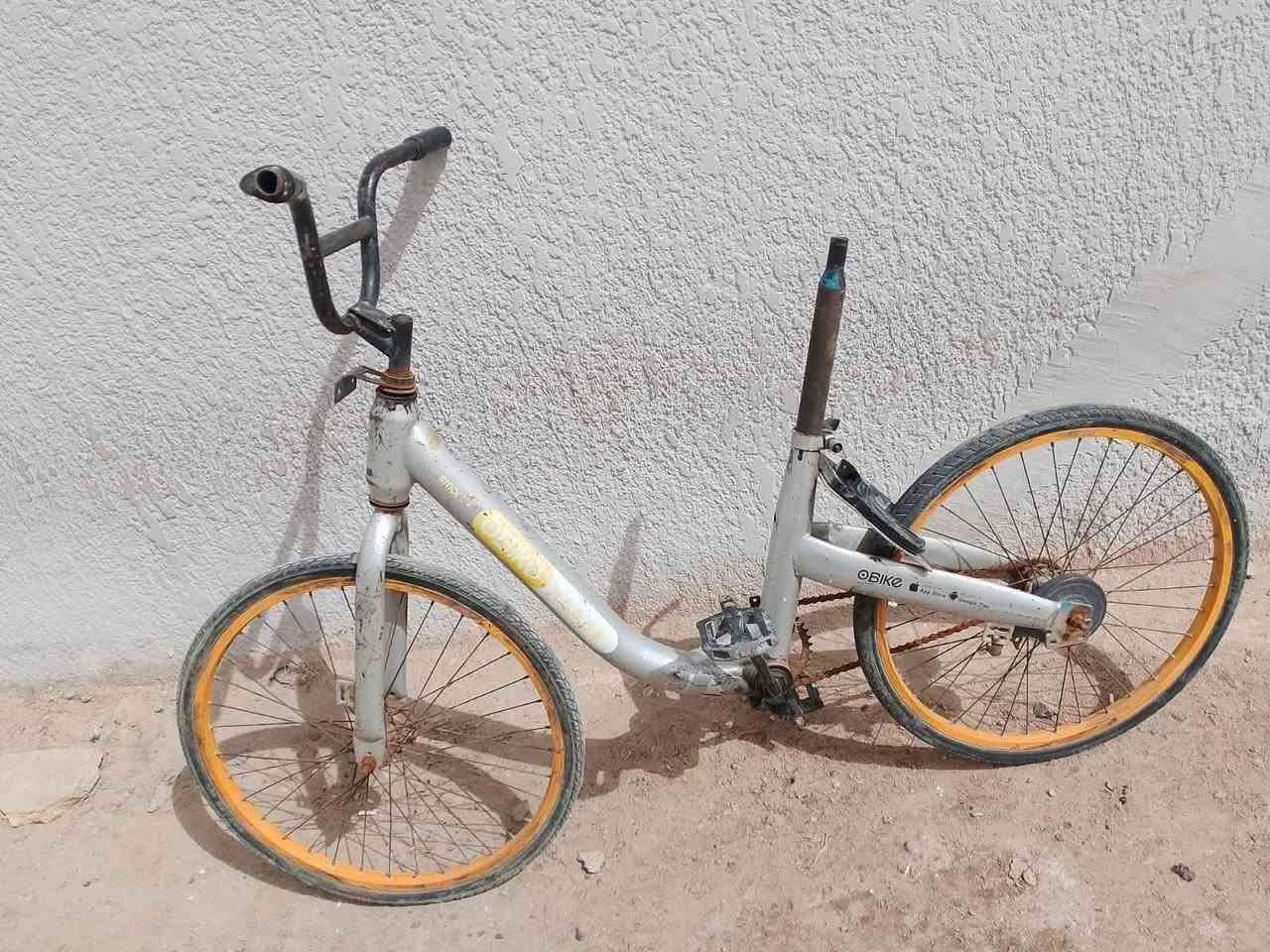 كلهن اب40الف اربع باسكلات والله بلاش العنوان حله ورديه خارج قرب علوت المخضر يم البسطيات مال المخضر بيع مستعجل كلش  ***********
