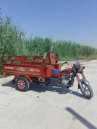ستوته • موديل ٢٠ • سلف