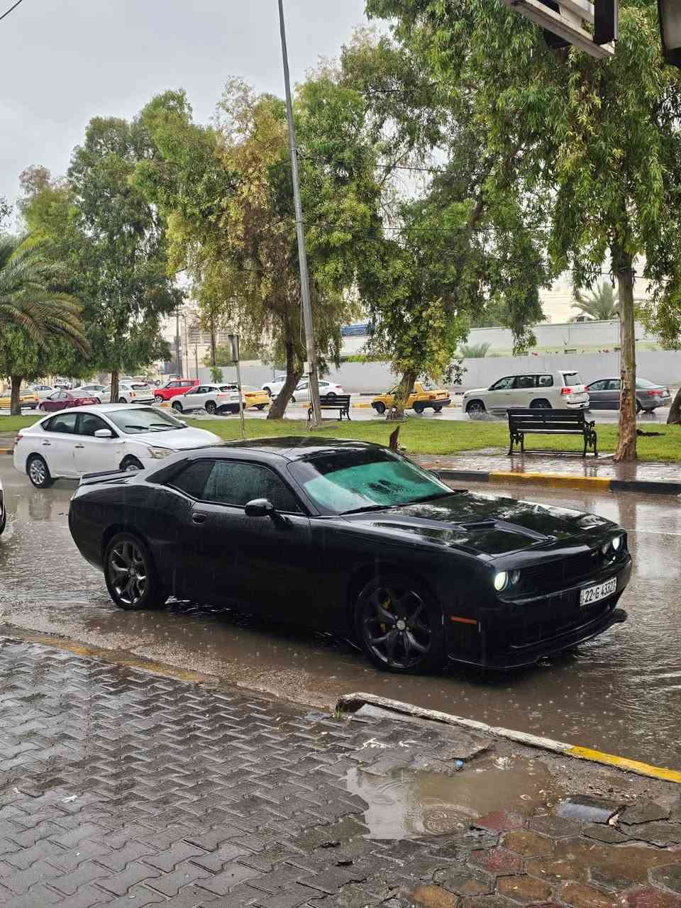 السلام عليكم شبابنا الطيبة
بيع سسسسريع ومو سعرها ( ١٢٧ ) وبيها مجال 

چالنجر ١٦ 🏎️
 🚀 ٣٦٠٠ 
رقم اربيل بسمي شخصياً 
السياره فول عدى الفتحه مواصفات الsxt شاشه چبيره 
ممشاهه تقريباً ٨٠ ميل 
جاهزه للاخير كير مكينه 
كهربائيات خير من الله 
تبريد ثلج تدفئه 
تخم تاير جديد كارتون 
السياره متصرف عليها ربع 

حادثها بسيط مثل ما موضح بيها ٣ قطع صفحه وحده اثر شخوط وباردات ع كد شبر  
يعني ٣ قطع فقط وسونارها موجود 

ترايك لاربيل للبصرة وبالعافيه ع الياخذها 🖤
واليجيني مارجعه 

اي استفسار بالخدمه الخاص موجود 
 ***********
