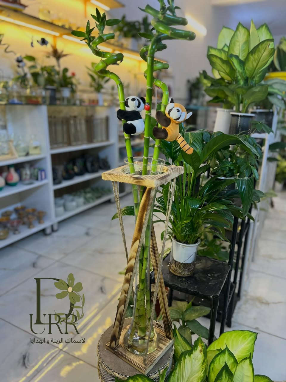 عرض الدر لنهاية شهر رمضان المبارك 🐼🐼الباندا اللطيفة القطعه ب3                   قطعتين ب5   متوفر توصيل  لكافة المحافظات وكذلك بيع مباشر داخل المحل عنوانه كربلاء شارع الجاير نهاية حي الامام علي مقابل الصورة قرب صيدلية البنين النموذجية #الدر #كربلاء_المقدسة #اسماك_زينه #هدايا #سلاحف_برمائية


**إذا كنت صاحب هذا الإعلان وتريد حذفه لأي سبب، رجاءا أرسل رسالة إلى الدعم الفني**