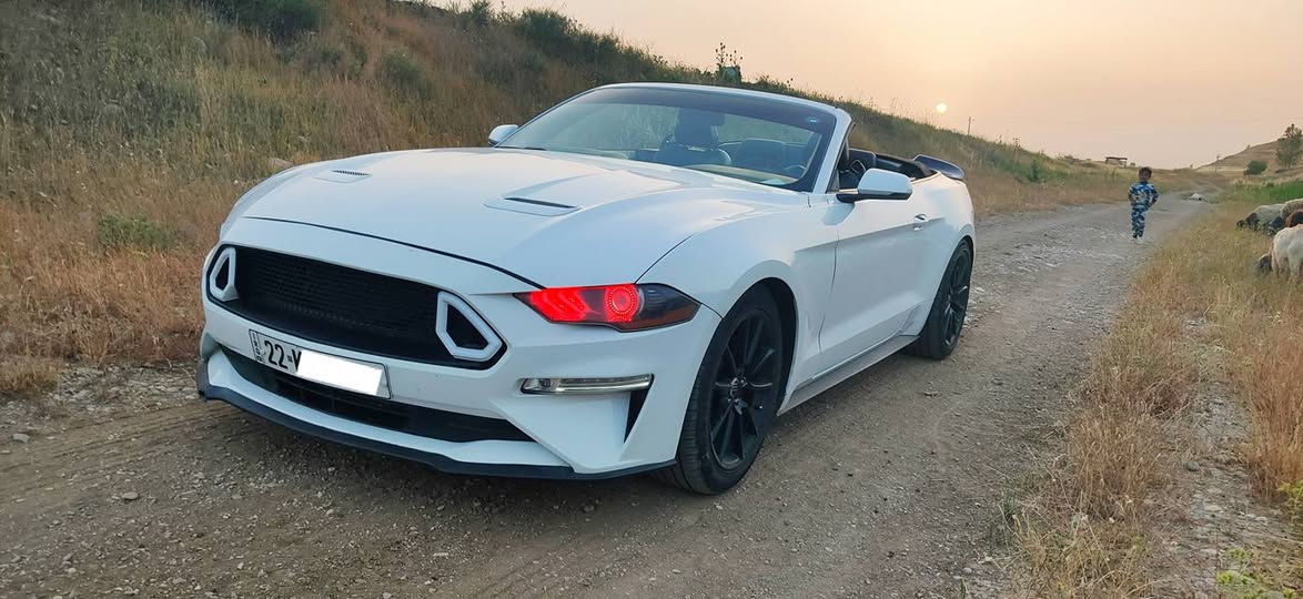 موستانگ 2018 فول مواسەفات مکینە چوار پستن ئیکو بوس سقف کشف  کوشینەکان جلد و کارەبای ساردو گەرم بەسمە شغال شاشە گەورە گێر لەسوکان زۆر مواسەفاتی تریش مەگینە گێر هەموو بەشەرت یەک گلۆپ لەدەشبولی پێ نیە سیارەکە خاوینە چوار تایەی نوێ بێ مەسروف نمونە لەجوانی سێ شوێنی زۆر بچوکی کارت و سبوغە 142  ورەقەیە  نرخی   ***********  فرۆشتن و گۆرینەوە.......   1FATP8UH6J5111220 أربيل, العراق
