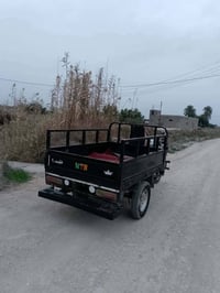 ستوته 21 • أوراق أصولي • مراوس