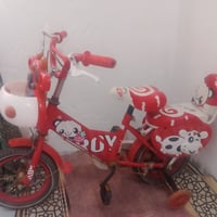 ويسكن • بسكليت • للبيع