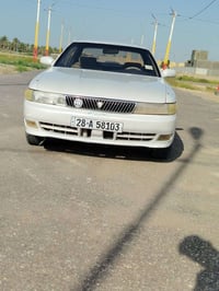 شيزر • كفالة عام • نجف الحريه