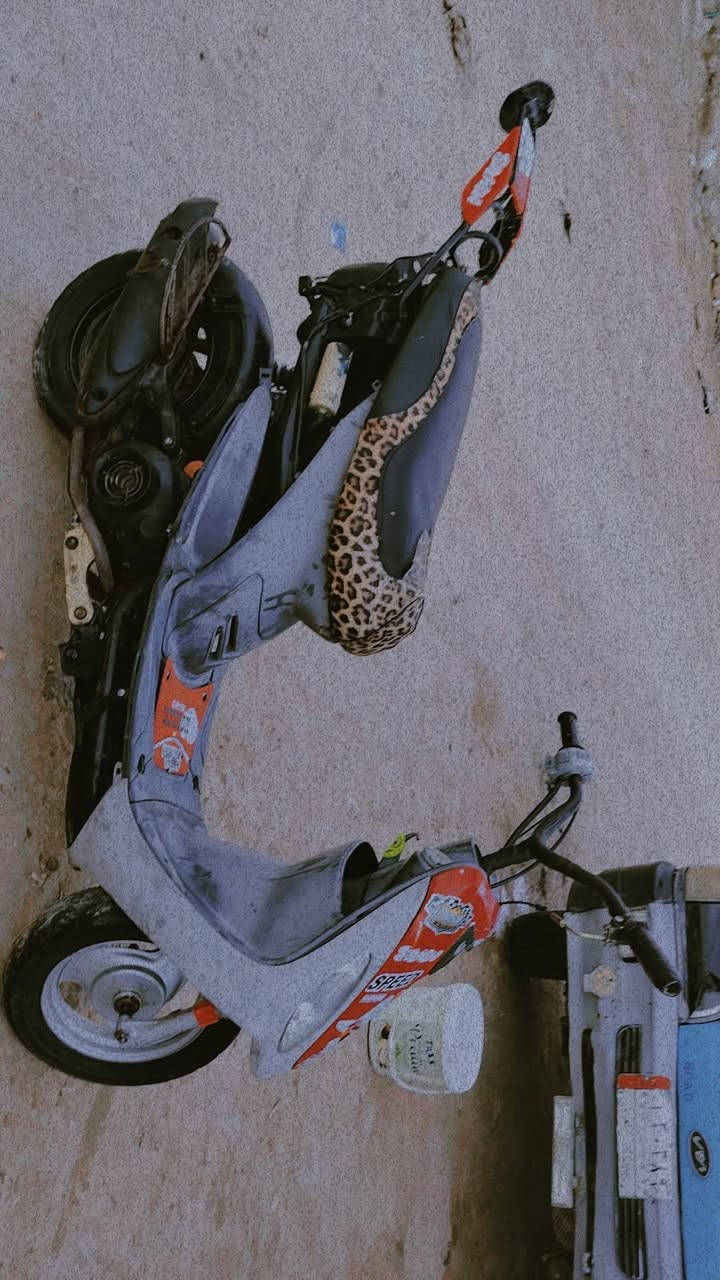 سلام عليكم ماكس منغولي البيع
***********
