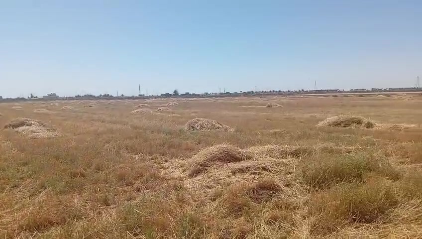 يوجد 4 دونم للبيع في الرمادي الجمعيه الثانيه قرب طريق السريع طابو زراعي تنازل مباشر واصل جميع الخدمات. وبالقرب من جامع الرزاق سعر الدونم الواحد 55 مليون وقابل للتفاوض 

للتواصل الاتصال على الارقام التالية أو زيارة مكتبنا على طريق الثرثار قرب الطاحونه 

***********

***********

