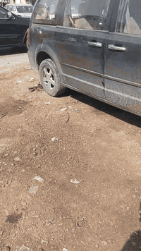 عرض خاص لاعضاءالنادي المحترمين دبلاات امامي بوش طلبه 4 شمعات 2 تخم طوبات 2 راس روط 2 لا ستيك رباط 250 الف عمل 80 الف من 2007 ل  2020
صدر خلفي بوش هاوزن 40 الف و 50 الف دبلاات خلفي 60 الف 75 الف 85 الف عمل  50 الف 
فتح نوزلات مع بلكات عمل 35 الف 
تبديل كير عمل  125 الف 
تبديل محرك عمل 175 الف 
تبديل تخم اذانات عمل 50 الف 
تبديل واتربم عمل 35 الف 
محرك  3300 سعر 550 الف 2007 ل 2010
محرك 380 سعر 650 الف 2007 ل 2010
محرك 3600 سعر 700 دولار موديل 2014
كير 3300 سعر  300 الف 2007 ل 2010
كير 3800 سعر 350 الف موديل 8 9 10
كير 3600 سعر 450 الف موديل 2014
العنوان ساعه عدن خلف معمل الطحين 
***********  ***********
