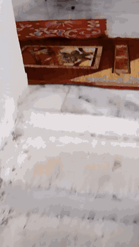 بيتين للبيع 100+150متر وحدبصيف وحد ‏‪0781 679 9644‬‏مكان ديوانم شعلة ش...