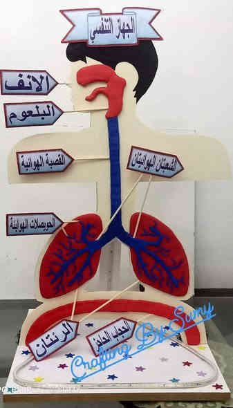 يعلن بيج لمسة فن عن عمل كافة أعمال والأشغال اليدويه الخاصه بالعلوم  كل المدارس الابتدائيه والمتوسطه والإعدادية 
فقط دز الاعمال الي تريدهن وتدلل وباسعار مناسبه 🖼️

للتواصل خاص 
او واتساب 
***********
