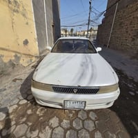 شيزر • نجف • باسمي