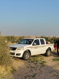 كريت ويل • ٢٠١١ • السماوه