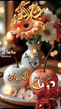 نقل ركاب • كربلاء-النجف • ٢٤ساعة