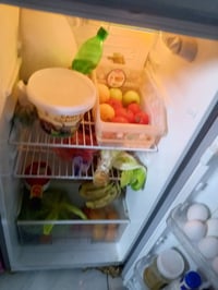 ثلاجه • بغداد الخطيب