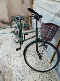 باسكل ياباني • حجم ٢٦ • زيتوني جديد