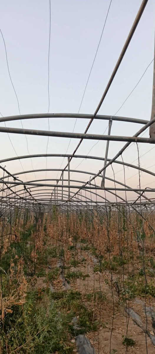 بيوت بلاستيكيه للبيع العدد 3كاملا  بوب ولايلون مال بيتين نوعيه عبار أردني للتصال  ***********
